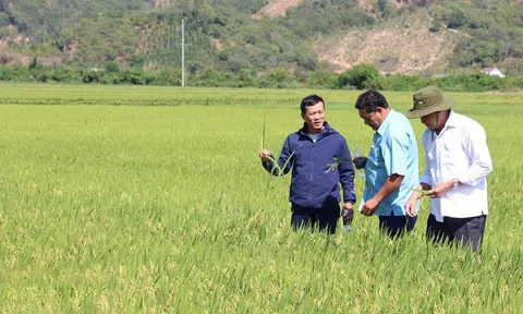 Đăng nhập tài khoản thành viên LC88 tập thể thúc đẩy sự phát triển Đăng nhập tài khoản thành viên LC88 - Lc88 game Tham Gia Ngay ở Krông Ana
