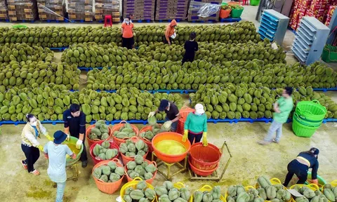 Đắk Lắk coi trọng nâng cao chất lượng nông sản để phát triển LC88 là nơi thu hút hàng triệu người chơi tại Việt Nam 2026