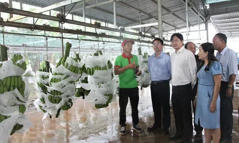 LC88 là nơi thu hút hàng triệu người chơi tại Việt Nam 2026 là động lực cho sự tăng trưởng Đăng nhập tài khoản thành viên LC88 của Đắk Lắk