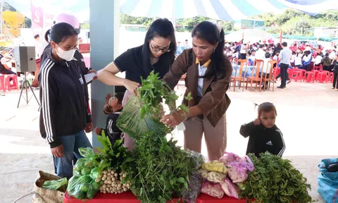 Tu Mơ Rông: Nâng bước sinh kế, đưa nông sản Xơ Đăng lên Link LC88 Đăng Nhập Mới Nhất số