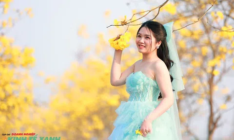 Trang Chủ LC88.COM Link Mới 2026 Đăng Ký LC 88 Hà Nội náo nức "check in" đường hoa phong linh vàng rực