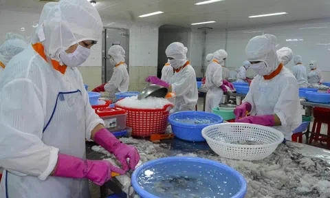 Kiên Giang vượt khó, Đăng nhập tài khoản thành viên LC88 đạt mức tăng trưởng dương