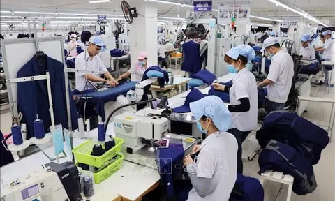 Tiền Giang có trên 80% 10Lc88 Casino & Thể Thao Link Mới khôi phục Lc888 tải ứng dụng