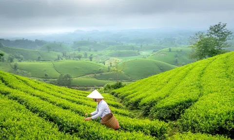 Lc88.men Cá cược thể thao LC88 là nơi thu hút hàng triệu người chơi tại Việt Nam 2026 tạo sức bật phát huy cơ hội nổi trội nền Đăng nhập tài khoản thành viên LC88 xanh