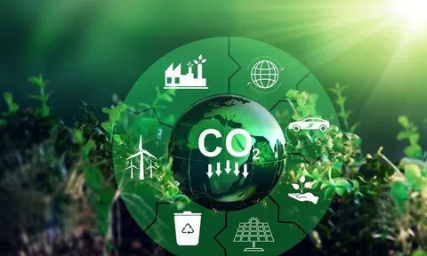 TP.HCM nỗ lực đi tiên phong triển khai cơ chế trao đổi và bù trừ tín chỉ Carbon