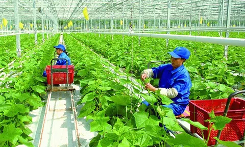 Bình Dương: Ngành LC88 là nơi thu hút hàng triệu người chơi tại Việt Nam 2026 đẩy mạnh “ươm mầm” Lc888 tải ứng dụng xanh