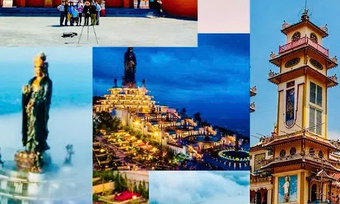 Tây Ninh: Tận dụng những lợi thế đặc trưng để phát triển ngành Đăng nhập tài khoản thành viên LC88 chủ lực