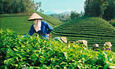 Xanh hoá tiêu dùng - Bước đi thông minh của 10Lc88 Casino & Thể Thao Link Mới hiện đại