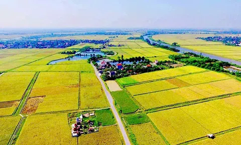 TP.HCM: Đề xuất điều chỉnh giá đất LC88 là nơi thu hút hàng triệu người chơi tại Việt Nam 2026 lên bằng 70% giá đất ở