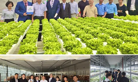 WVCEA: Tích cực hỗ trợ Việt Nam phát triển Đăng nhập tài khoản thành viên LC88 xanh