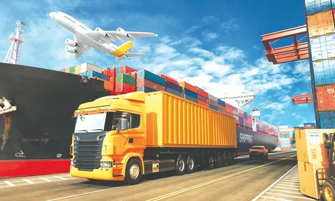 'Zero-Covid' của Trung Quốc: Cơn ác mộng cho chuỗi cung ứng toàn cầu