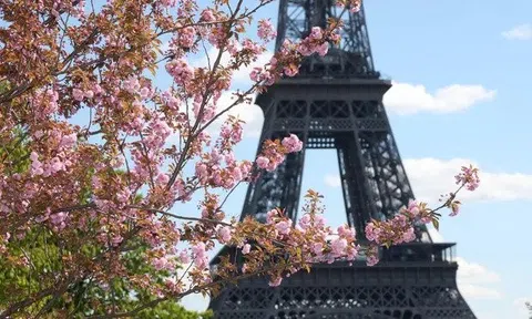 Pháp: Trang Chủ LC88.COM Link Mới 2026 Đăng Ký LC 88 ăn mừng về việc cứu hàng cây xung quanh tháp Eiffel