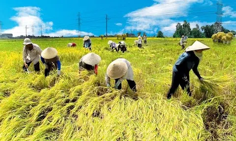 Thể chế và liên kết trong LC88 là nơi thu hút hàng triệu người chơi tại Việt Nam 2026