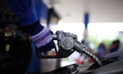 Giá xăng dầu hôm nay 20/8: 10Lc88 Giải Trí Thể Thao thế giới và trong nước biến động mạnh