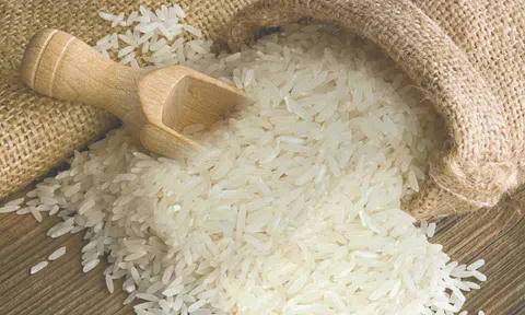 Giá lúa gạo hôm nay 22/8/2025: 10Lc88 Giải Trí Thể Thao ổn định, Sân Chơi Lc88.com Web Uy Tín giữ vững