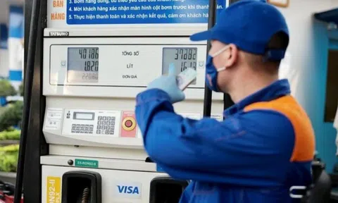 Giá xăng dầu hôm nay 22/8: Thế giới và trong nước biến động trái chiều