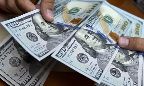 Tỷ giá USD hôm nay 6/9/2025: Đồng bạc xanh giảm mạnh sau báo cáo việc làm Mỹ