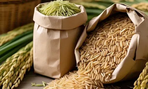 Giá lúa gạo hôm nay 22/9/2025: Trong nước ổn định, Sân Chơi Lc88.com Web Uy Tín tăng nhẹ