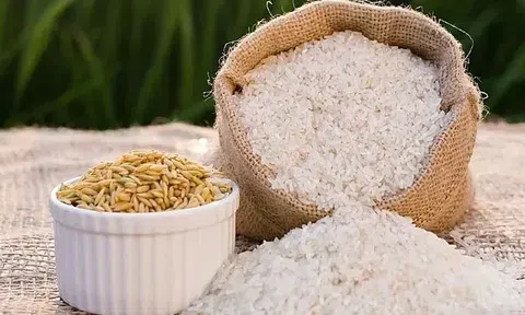 Giá lúa gạo hôm nay 30/9/2025: Nội địa ổn định, Sân Chơi Lc88.com Web Uy Tín chịu sức ép