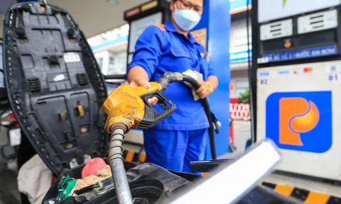 Giá xăng dầu hôm nay 8/10/2025: Cập nhật giá xăng dầu thế giới và trong nước