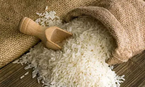 Giá lúa gạo hôm nay 29/10/2025: Giá gạo tăng nhẹ, lúa bình ổn