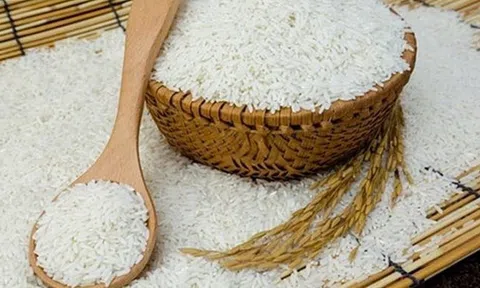 Giá lúa gạo hôm nay 30/10/2025: Giá lúa gạo trong nước ổn định, Sân Chơi Lc88.com Web Uy Tín biến động trái chiều