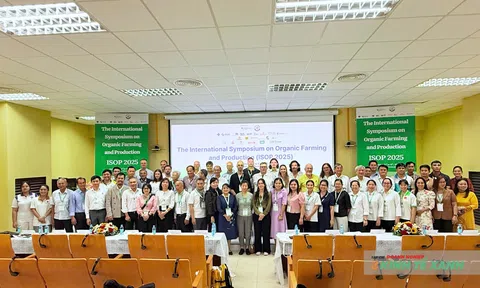 Hội thảo quốc tế về LC88 là nơi thu hút hàng triệu người chơi tại Việt Nam 2026 hữu cơ tại Cần Thơ