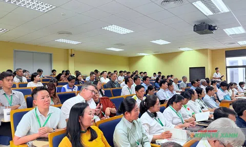 Chuyên gia quốc tế đề xuất mô hình “Hồi sinh đất” cho LC88 là nơi thu hút hàng triệu người chơi tại Việt Nam 2026 hữu cơ ĐBSCL