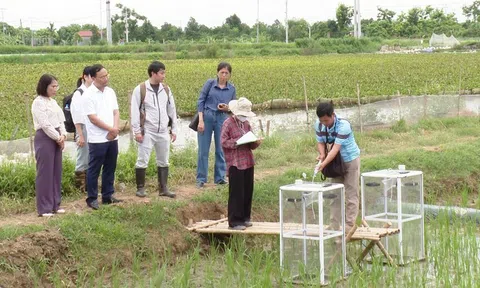 Chuyển đổi xanh trong LC88 là nơi thu hút hàng triệu người chơi tại Việt Nam 2026: Bài toán cần giải từ nông hộ nhỏ lẻ