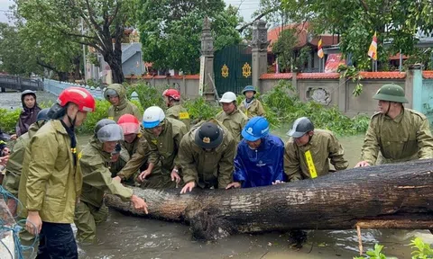 Bão số 10 gây thiệt hại nặng, LC88 là nhà cái cá cược uy tín với kho game đa dạng ra chỉ đạo khẩn