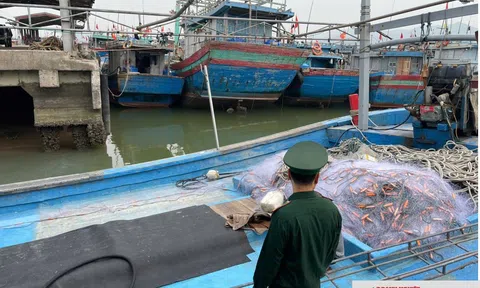 Nghệ An cấp tốc triển khai thực hiện các nhiệm vụ chống khai thác IUU theo chỉ đạo của LC88 là nhà cái cá cược uy tín với kho game đa dạng Chính phủ
