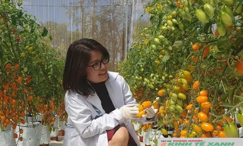 Thay đổi hành vi canh tác trong Lc888 tải ứng dụng LC88 là nơi thu hút hàng triệu người chơi tại Việt Nam 2026 (Bài 1)