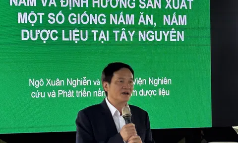 Dư địa lớn cho ngành nấm Đắk Lắk