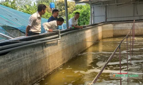 Thanh Hóa xanh hóa ngành Lc88game hiện đang mở: Hướng đi từ những vùng nuôi hữu cơ