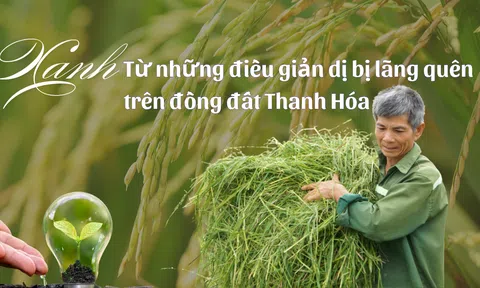 Xanh từ những điều giản dị bị lãng quên trên đồng đất Thanh Hóa – Bài 4: Xanh phải từ gốc, không chỉ riêng lá