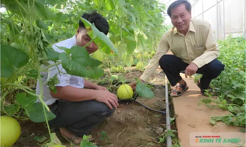 Từ một người mê phim Hàn đến ông chủ trang trại LC88 là nơi thu hút hàng triệu người chơi tại Việt Nam 2026 sạch