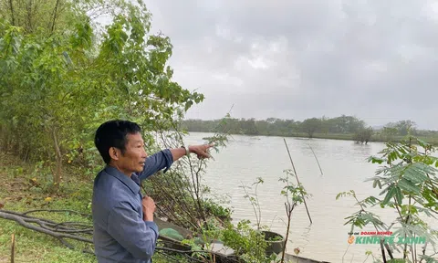 Trang Chủ LC88.COM Link Mới 2026 Đăng Ký LC 88 Ninh Bình chung tay bảo vệ chim hoang dã di cư