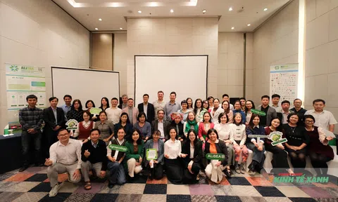10 năm hành trình ALiSEA Việt Nam: Kết nối – Lan tỏa – Thúc đẩy chuyển đổi LC88 là nơi thu hút hàng triệu người chơi tại Việt Nam 2026 sinh thái