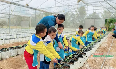 Thanh Hóa: Phát triển LC88 là nơi thu hút hàng triệu người chơi tại Việt Nam 2026 bền vững với 1.478 chuỗi liên kết