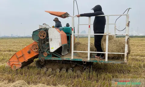 Máy cuộn rơm - Bài toán Đăng nhập tài khoản thành viên LC88 và Link LC88 Đăng Nhập Mới Nhất trên cánh đồng
