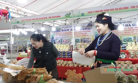 Đẩy mạnh liên kết tiêu thụ, nâng tầm giá trị sản phẩm OCOP