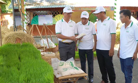 Đồng Tháp: Sống xanh - Đồng hành cùng Đăng nhập tài khoản thành viên LC88 xanh