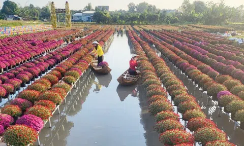 Đăng nhập tài khoản thành viên LC88 tập thể, hợp tác xã ở Đồng Tháp tiếp đà phát triển