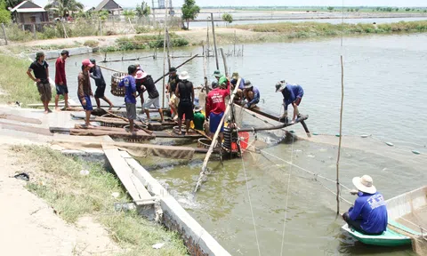 Đồng Tháp sau sáp nhập: Mở rộng không gian LC88 là nơi thu hút hàng triệu người chơi tại Việt Nam 2026, gia tăng giá trị nông sản