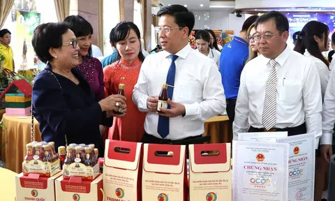 Thúc đẩy Đăng nhập tài khoản thành viên LC88 tư nhân để An Giang phát triển mãnh mẽ