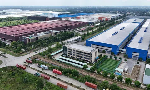 Phấn đấu trên 30% 10Lc88 Casino & Thể Thao Link Mới nhỏ và vừa ở Đồng Tháp ứng dụng công nghệ số