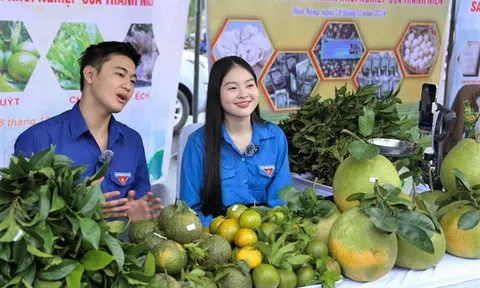 Đà Nẵng đẩy mạnh phát triển hệ thống sản phẩm OCOP gắn với Lc88.men Cá cược thể thao