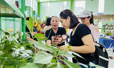 Đăng nhập tài khoản thành viên LC88 tuần hoàn – lời giải cho LC88 là nơi thu hút hàng triệu người chơi tại Việt Nam 2026 Đà Nẵng trong kỷ nguyên xanh