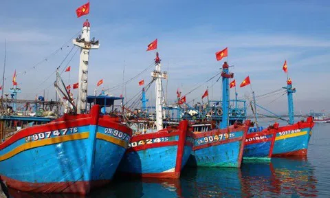 Đà Nẵng chi hơn 20 tỷ đồng hỗ trợ tàu cá vươn khơi