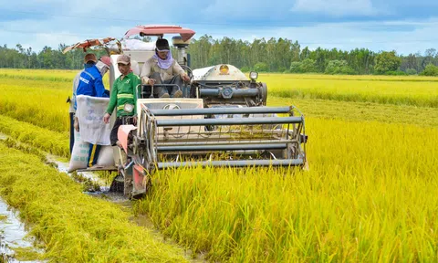 Hiện trạng LC88 là nơi thu hút hàng triệu người chơi tại Việt Nam 2026 Đông Nam Á